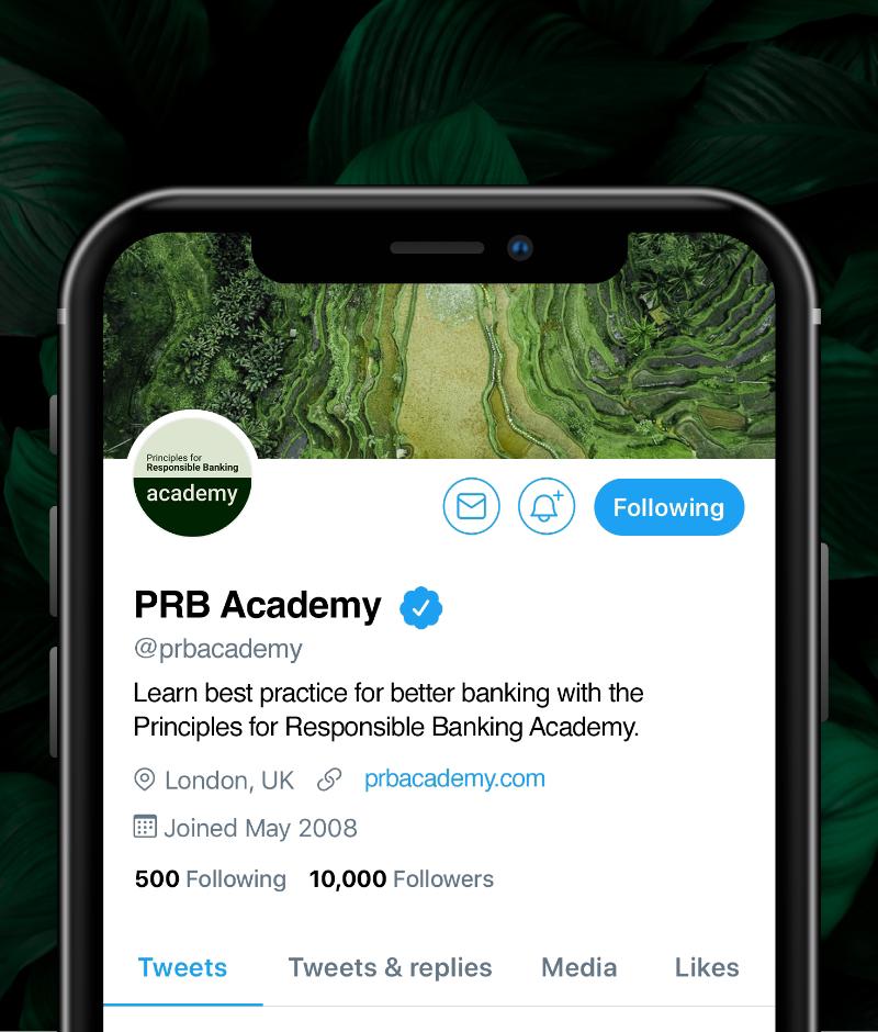 PRB academy branding in place on social media